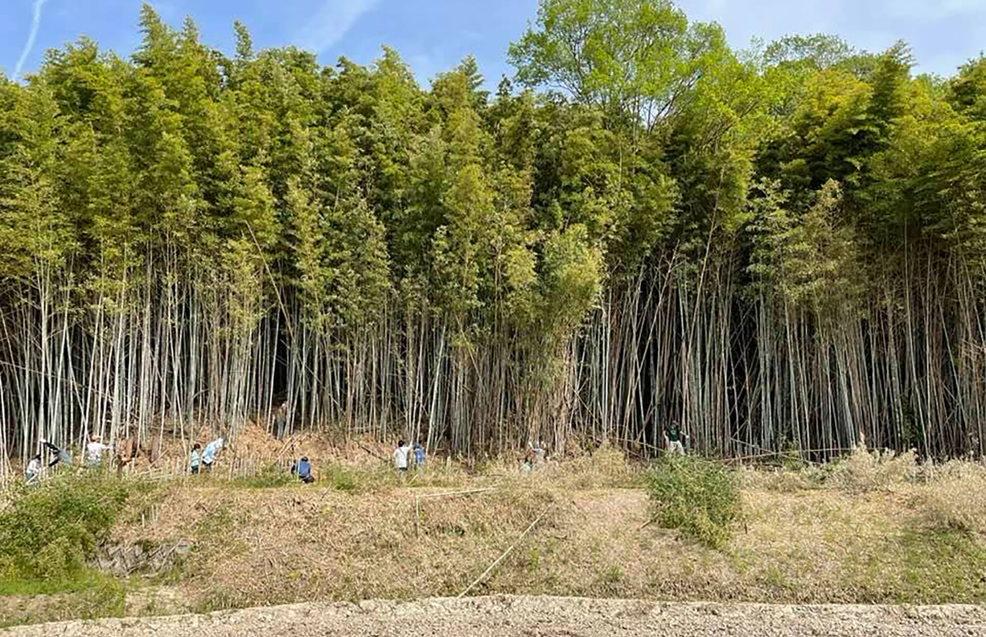 休耕田を再利用した有機農業の推進