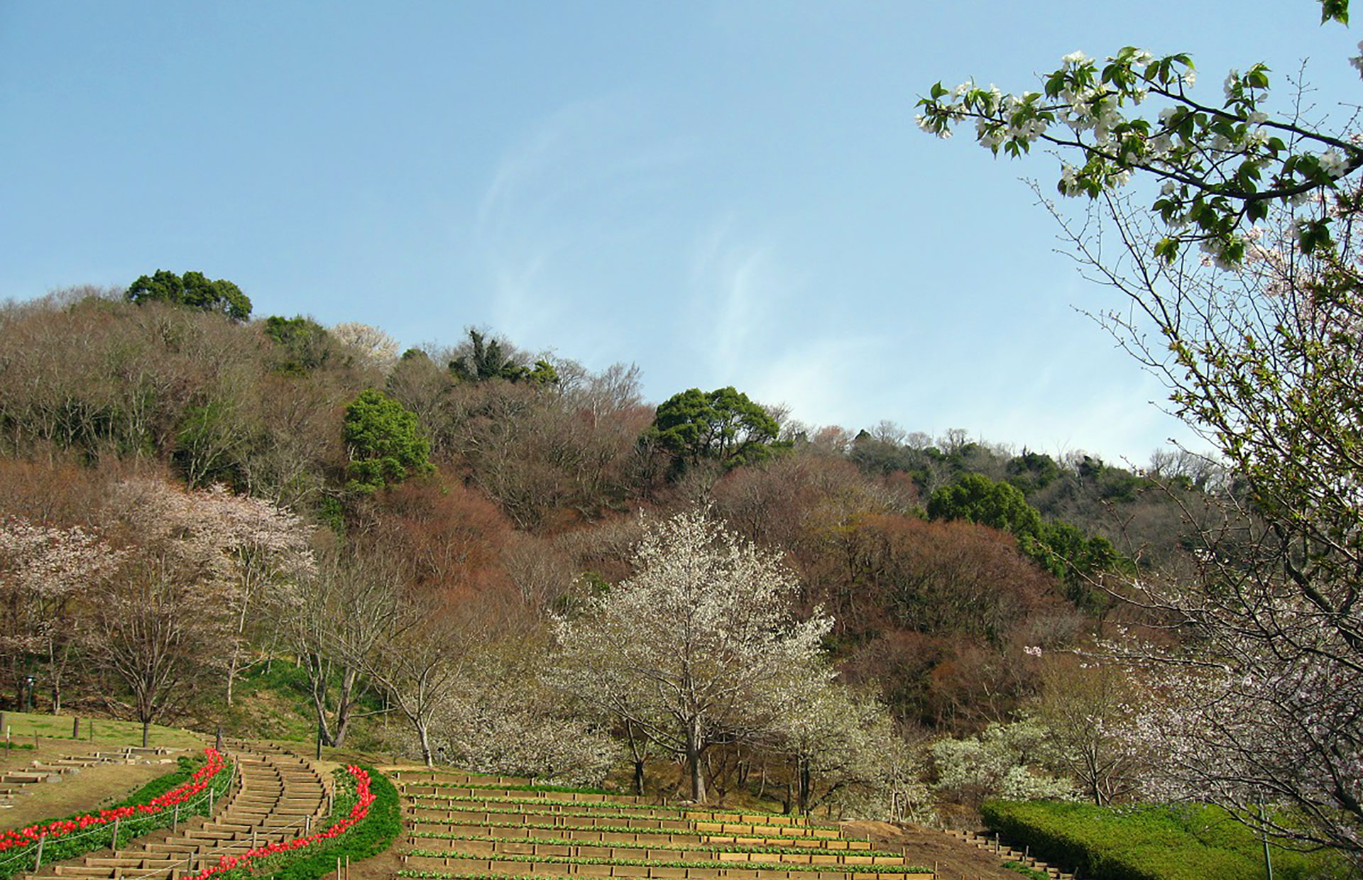 神戸の森林(もり)を守り育てる(布引・世継山)