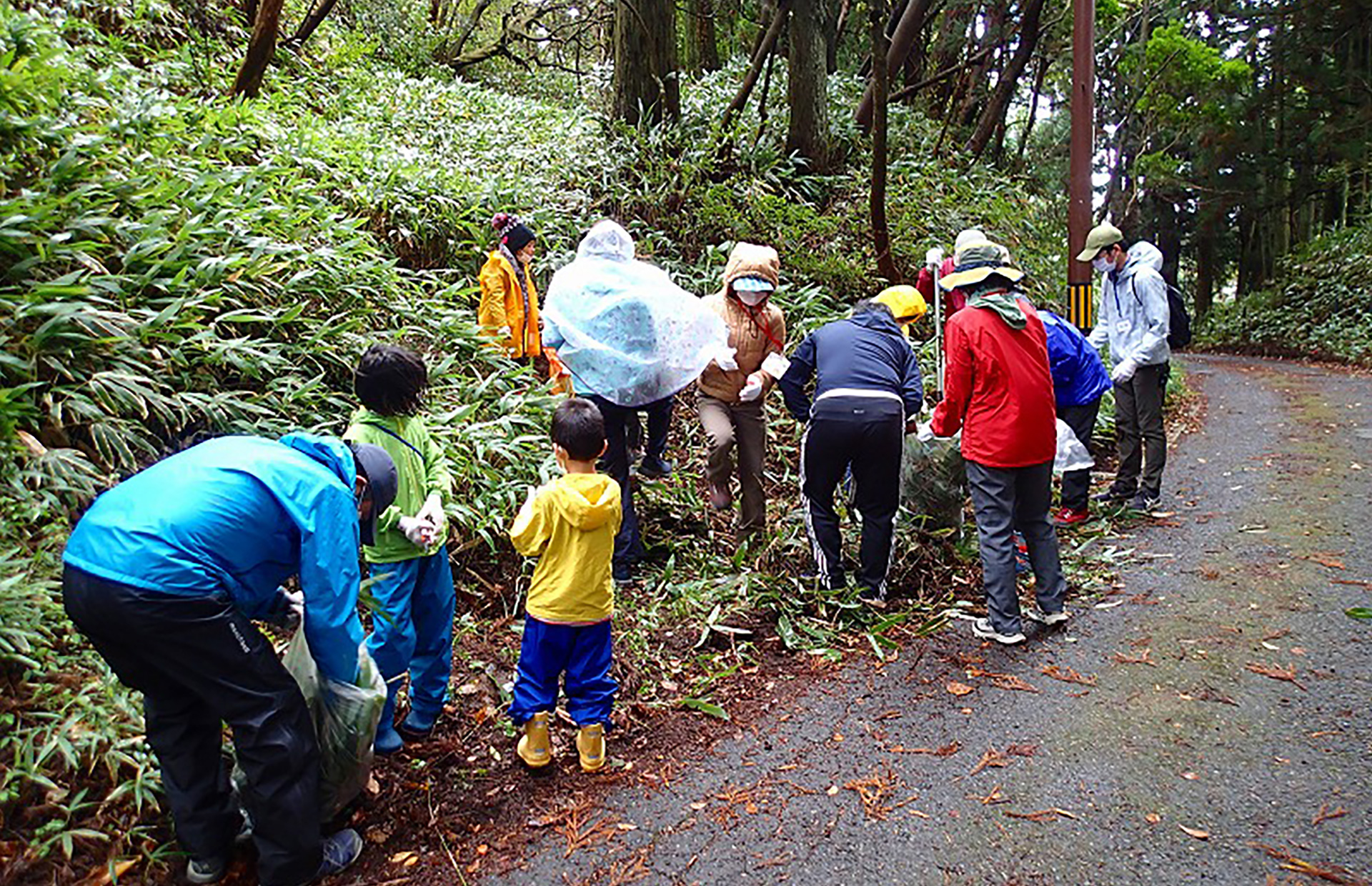 六甲山上「まちっ子の森と散歩道」整備事業